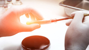 Help Shape the Future of Sepsis Research on the National Level