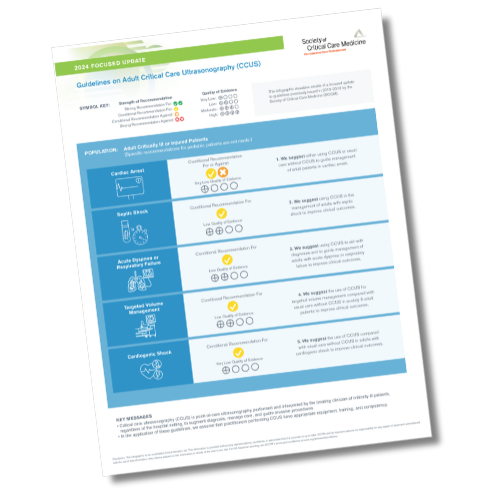 Review of Guidelines on Adult Critical Care Ultrasonography: Focused Update 2024